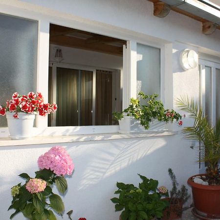 Apartment Anand Dubrovnik Ngoại thất bức ảnh