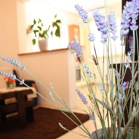 Apartment Anand Dubrovnik Ngoại thất bức ảnh